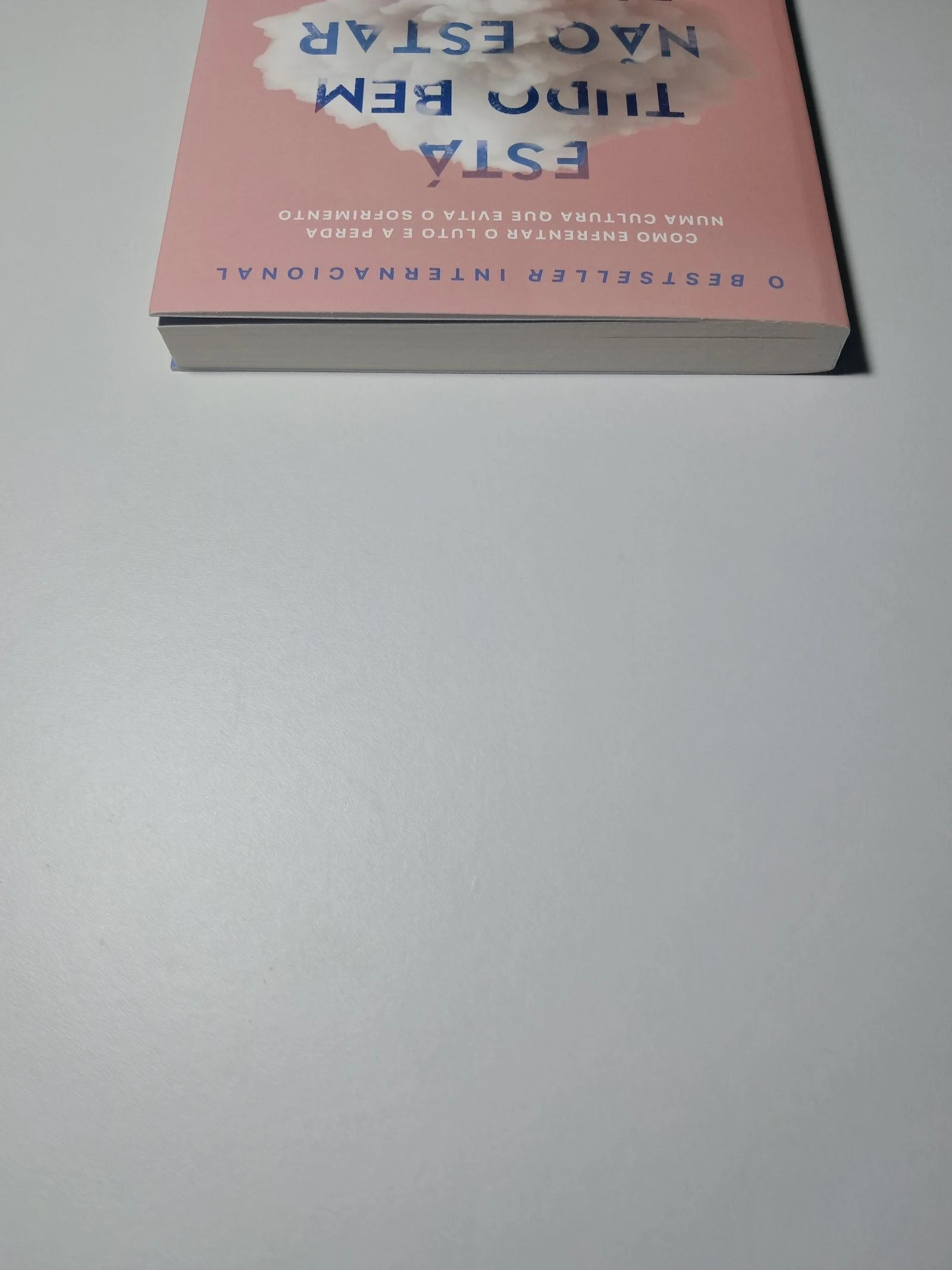 📖 Het is Oké om Niet Oké te zijn | Megan Devine 📖 – photo 7